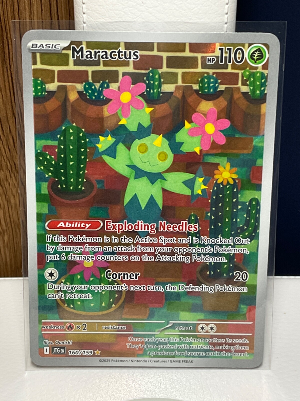 Picture 1 of 1