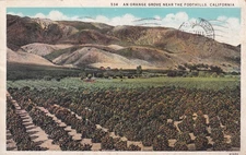 Orange Grove Foothills California CA 1932 San Diego to Kingston AR Postcard B35