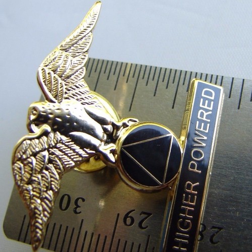 Alcoholics Anonymous Eagle Gold Plate AA Lapel Hat Vest Pin HIGHER POWER - Picture 8 of 9