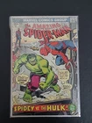 The Amazing Spider-Man #119 (Marvel Comics April 1973) Spidey Vs HULK