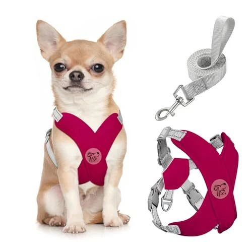 Dog Harness with Leash Set, X S(Neck 12.6-16.5" Chest 12.6-22.8") Magenta Dog Harness with Leash Set, X S(Neck 12.6-16.5" Chest 12.6-22.8") Magenta