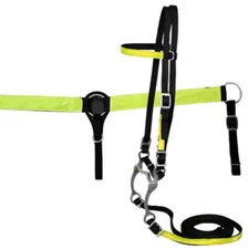 New! Complete Horse size NYLON HEADSTALL & BREAST COLLAR SET w/ REFLECTOR STRIPS