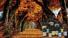 Autumn Woods Fragrance Oil Soap Making Supplies Spa Aromatherapy Candles 