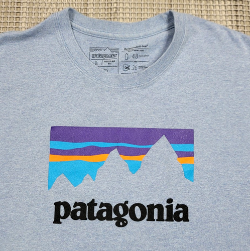 Camiseta de plástico Patagonia Azul para hombre L ajuste regular Responsibili-tee manga corta - Imagen 3 de 11