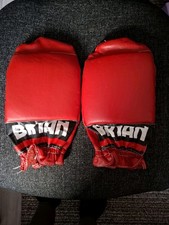 Mens Bryan Sparring Gloves