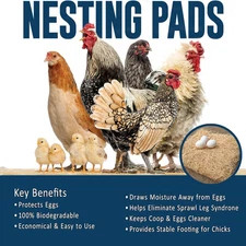 Nesting Pads Chicken Coop Accessories 12 Pack Aspen Bedding Chicken Nesting Box