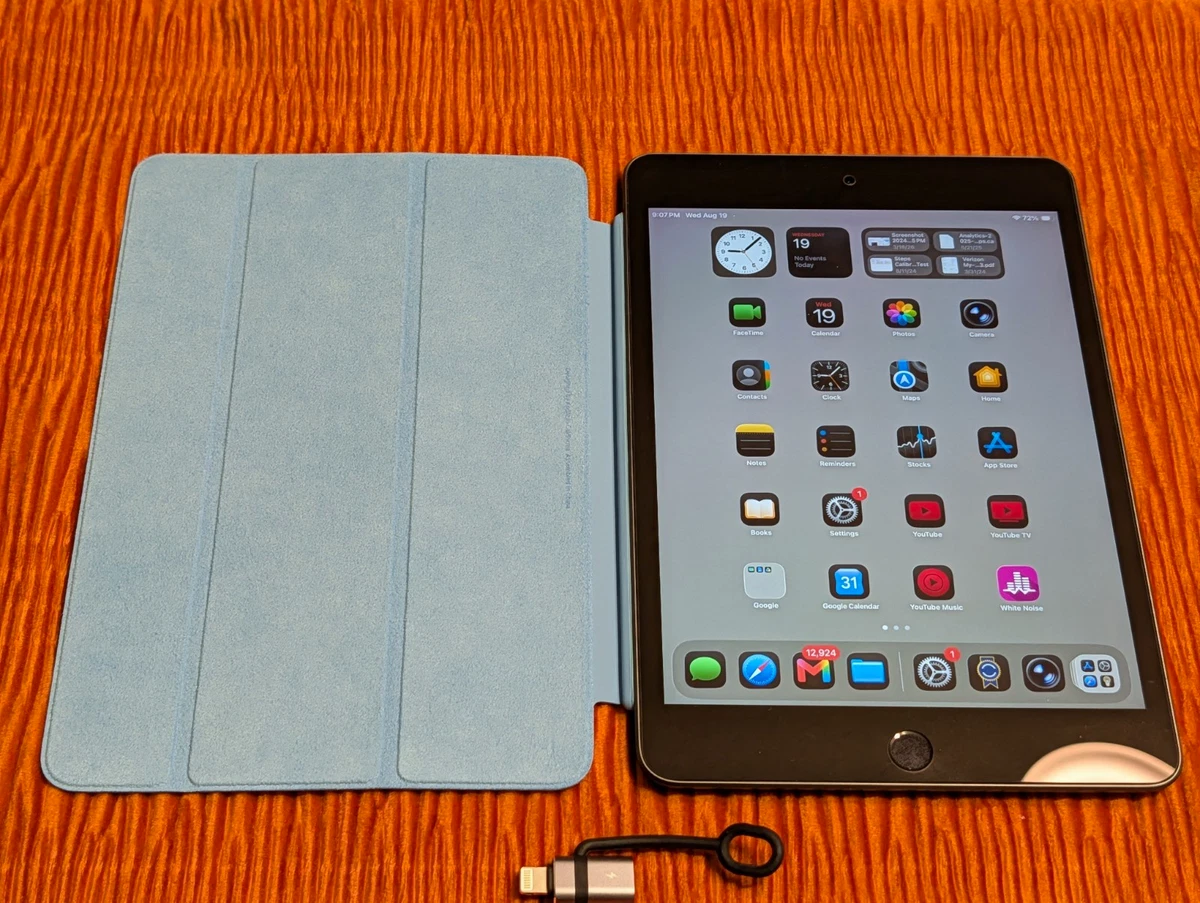 Apple iPad Mini (5th Generation) 256GB for sale - eBay