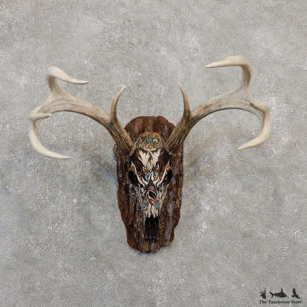 P*u様 蝦夷鹿hunting trophy （deer skull） 蝦夷鹿hunting trophy（deer skull） P*u様 蝦夷鹿hunting