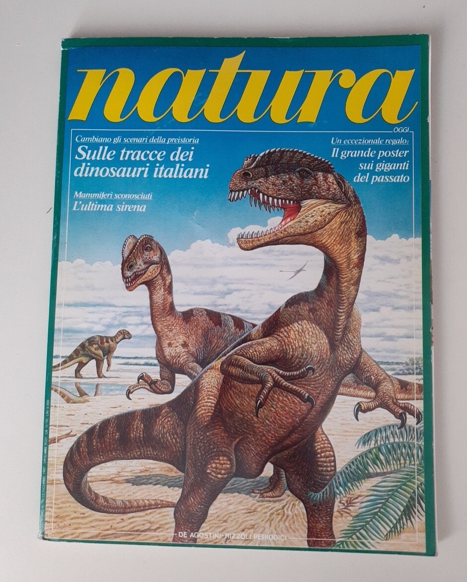 Foto 1 di 6
