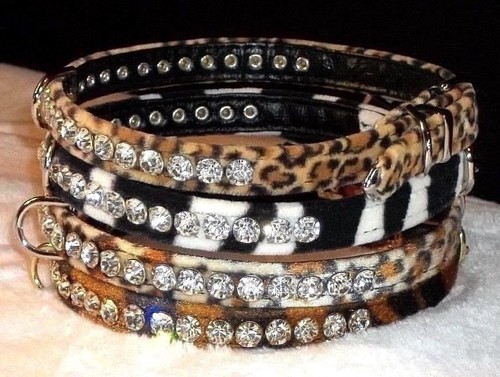 Cuello de perro joya de cristal ¡Bling! Elegante Leopardo Estrás Cebra Tigre Selva Adorable - Imagen 3 de 21