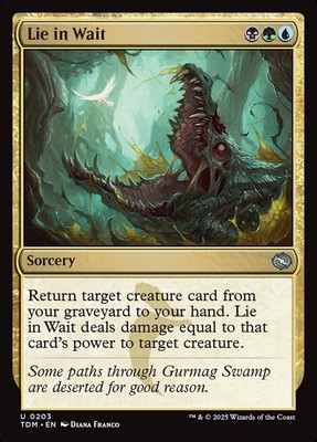 MTG Tarkir Dragonstorm *FOIL* U Lie in Wait #0203