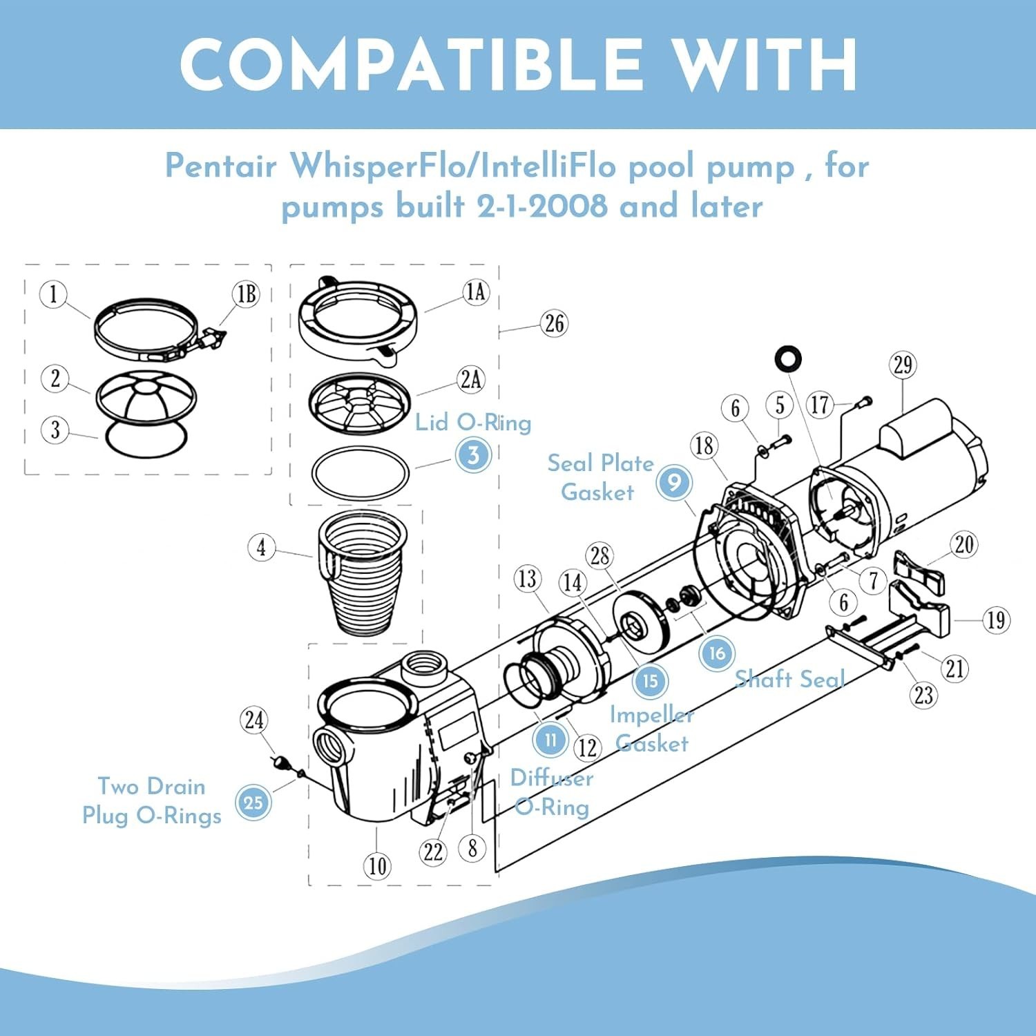 O-Ring Rebuild Kit | Pentair WhisperFlo IntelliFlo Pool Pump | Seal Gasket & Imp