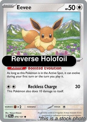 Eevee [PRE - 074/131]