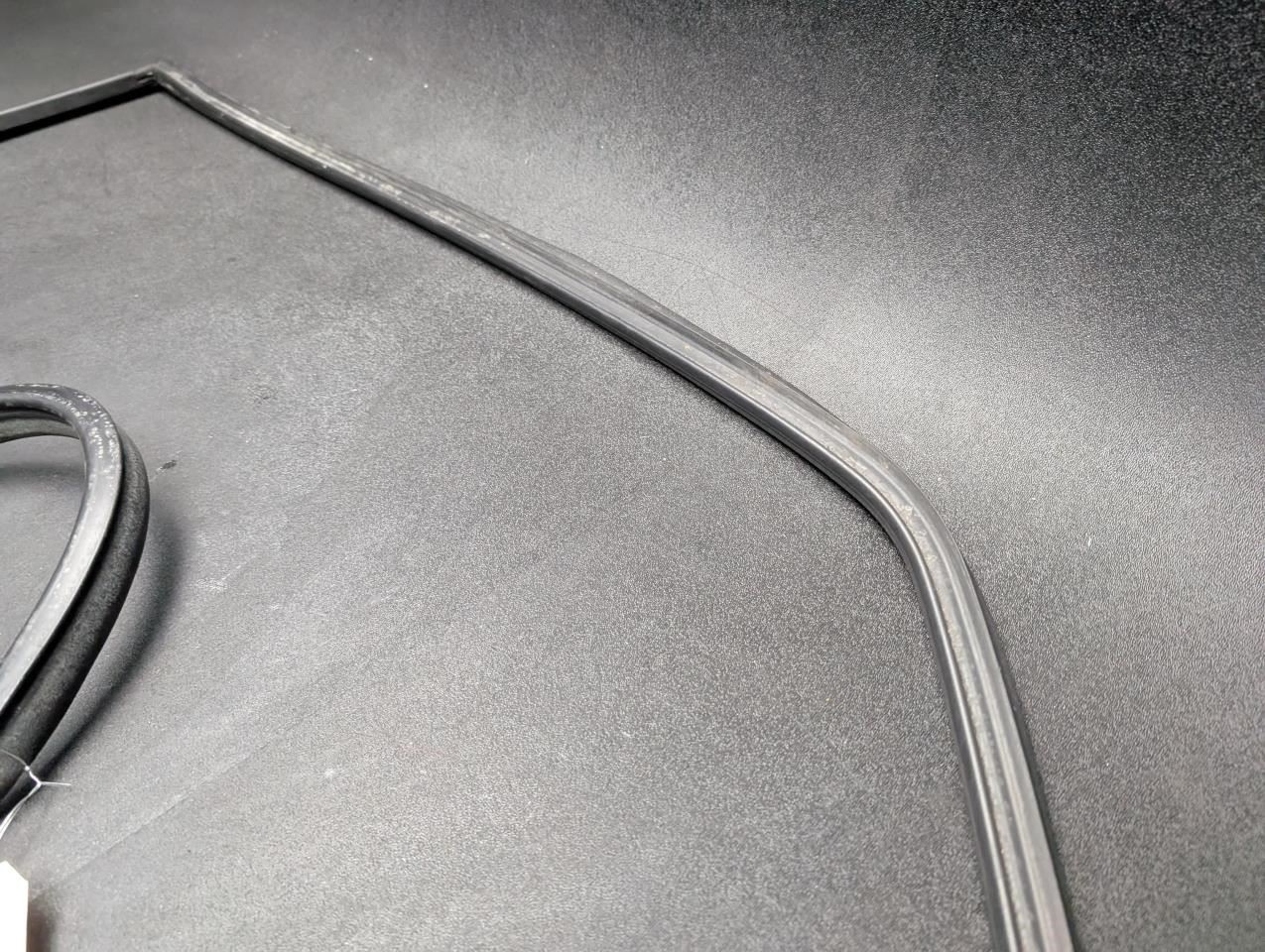 Rear Left Door Weatherstrip 1984 Rolls-Royce Silver Spirit 1981 - 1988
