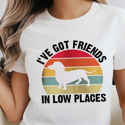 I've Got Friends In Low Places Sweatshirt, Retro Shirt, T-shirt, Funny