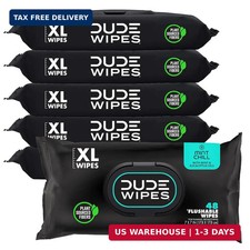 DUDE Wipes Mint Chill Flushable Wipes - Extra-Large Adult Wet Wipes - 6 Pack 28