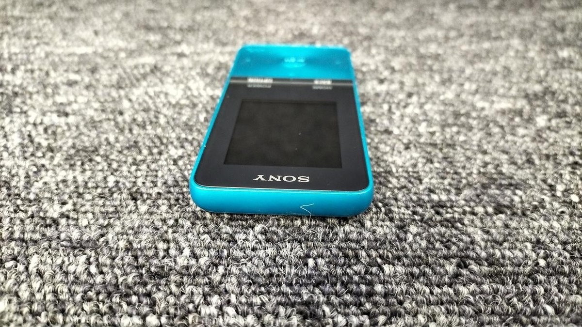 WALKMAN Model NW S315 SONY | eBay