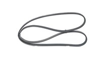 Bosch 1 987 946 290 V-Rippenriemen FüR Ford, Ford Australien