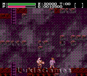 Faxanadu - NES Nintendo Rpg Adventure Game