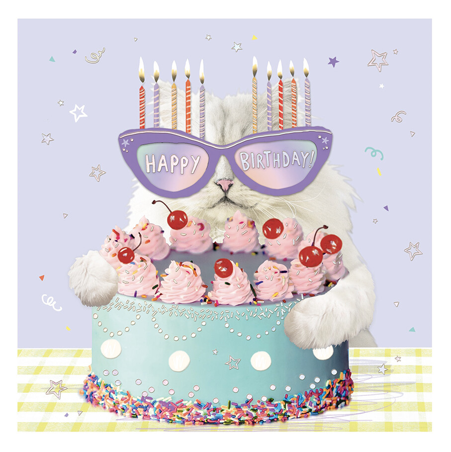 Funny Cat and Cake Birthday Card - Hilarious Party Animals Greeting Card