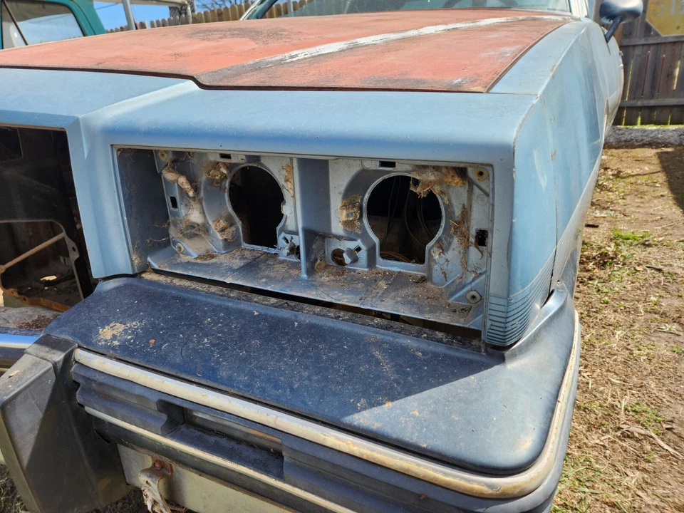 🔥 1981-1987 PONTIAC GRAND PRIX PANEL DE CABECERA CARROCERÍA G 1982 1983 1984 1985 1986 OEM Foto 4 de 4