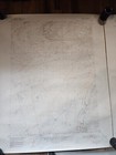 Bild 2 von 12