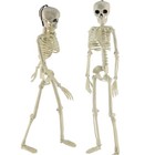 1/2PCS LARGE POSEABLE HUMAN SKELETON 16inch HALLOWEEN DECORATION PARTY PROP