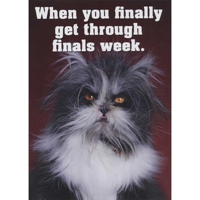 When You Finally Get Through Finals Week Cat Messy Fur Funny Graduation Card