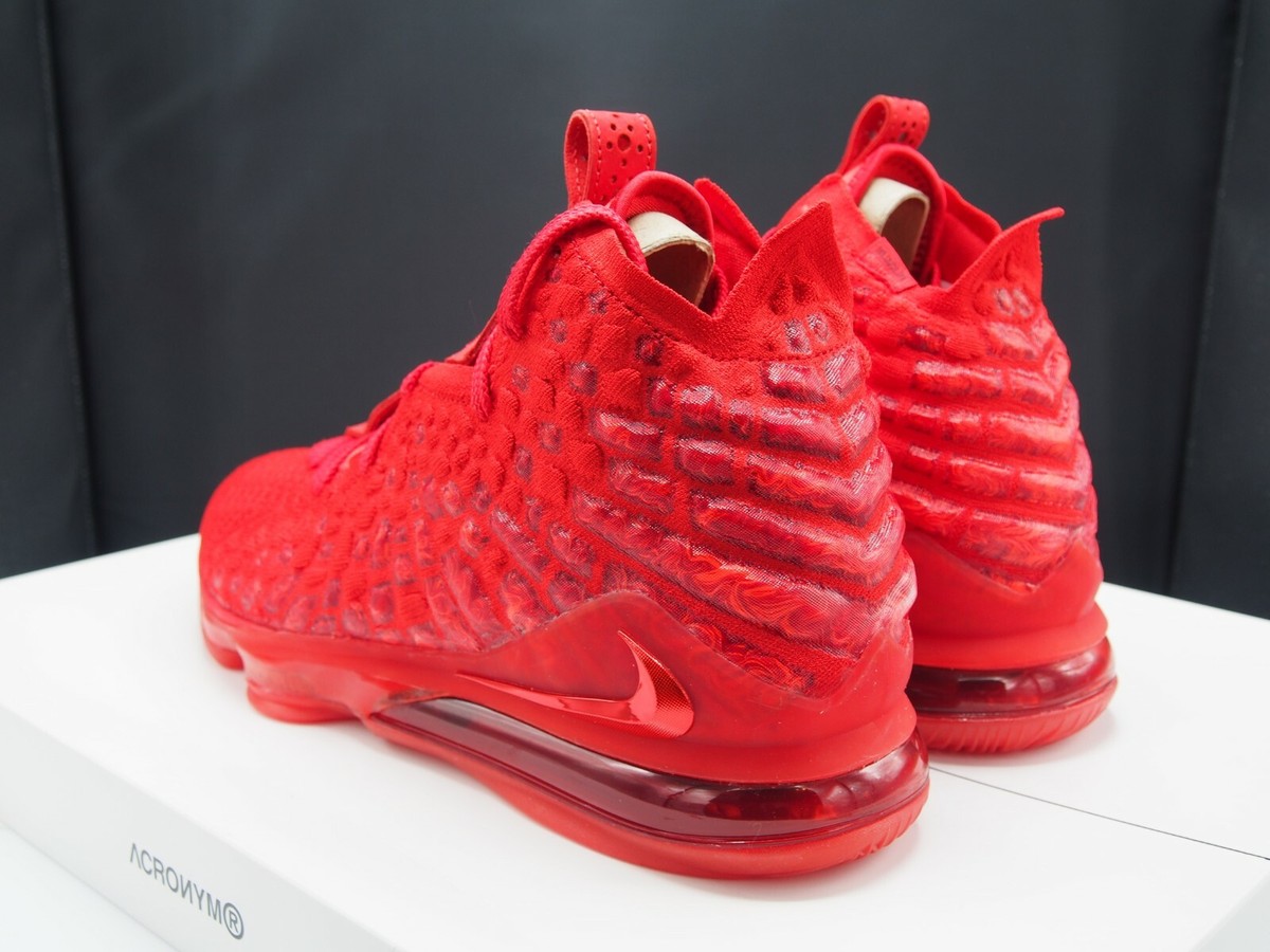 Nike Lebron XVII 17 