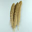 thumbnail 25  - Wholesale 10-100pcs Natural Pheasant Feathers 3-25cm/2-10inches For Decoration