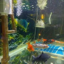Self Adhesive Aquarium Sticker 3D Fish Tank Background Landscape Poster Decor