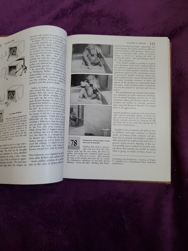 Psychology Fundamentals of Human Adjustment 2nd Edition Hardcover Book 1951 Munn - Picture 9 of 16