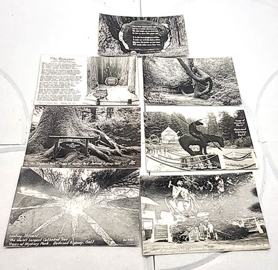 Rppc Redwood Forest Trees of Mystery Elephant Tree Post Card Lot