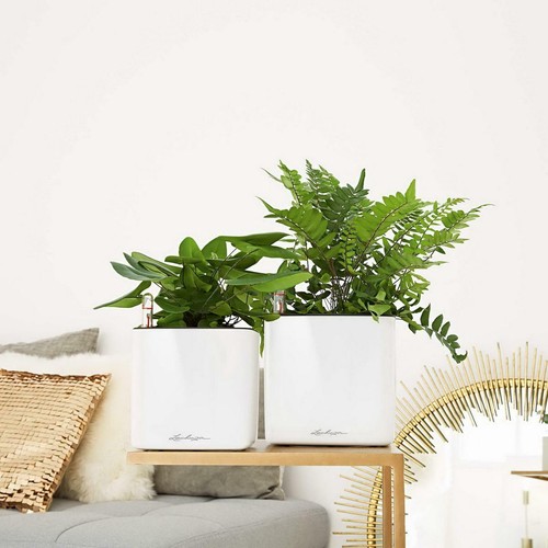 Macetas de plantas de interior CUBO LECHUZA cuadrada brillante polietileno resina autoriegable - Imagen 10 de 28