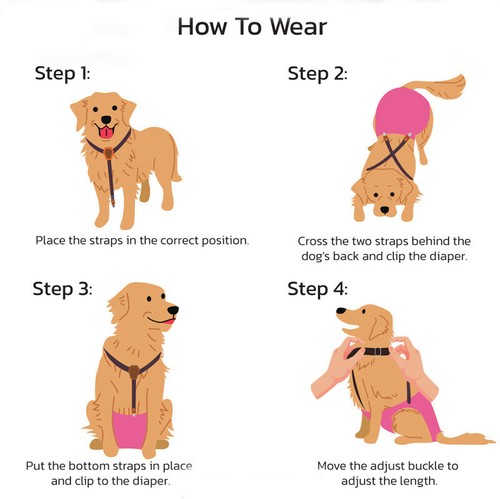 Female Dog Diaper Suspender Dog Diaper Keeper Suspender Dog Suspender 3 Sizes□ ↑ - Picture 3 of 27
