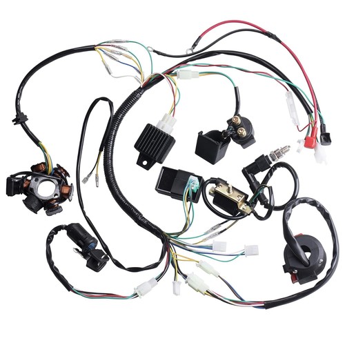 Complete Electric Wiring Harness for ATV Go Kart Dirt Bike 70cc 110cc 125cc - Picture 5 of 11