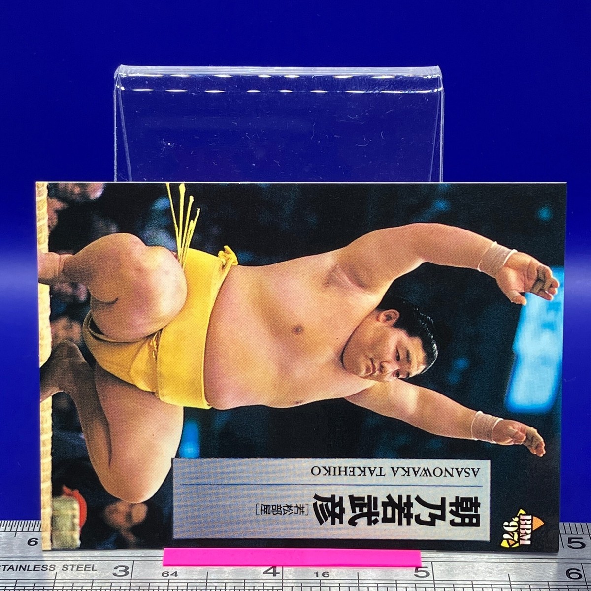 SUMOさん専用です s-l1200.jpg