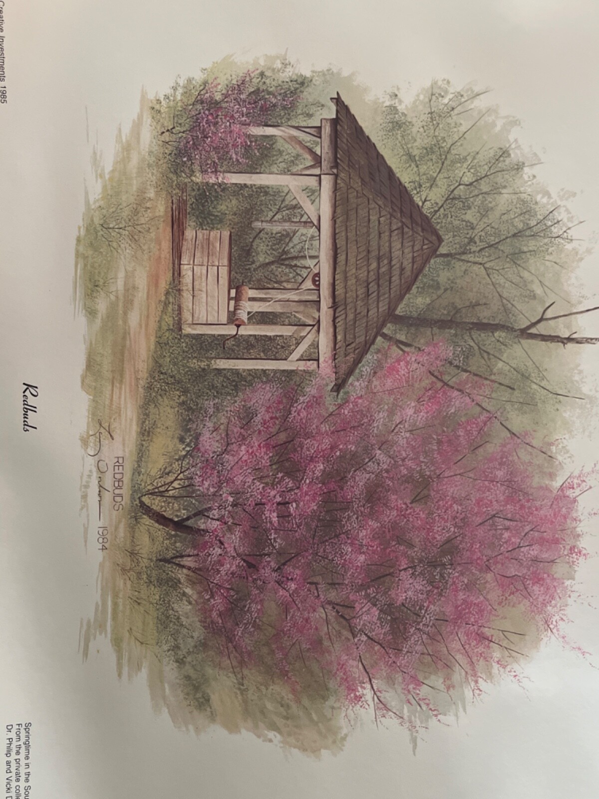 Picture 6 of 6