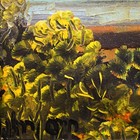 Foto 11 di 13