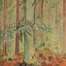 Gerhard Schulte-dahling Forest Forest Interior Large Format Sign Watercolor Mid 20th Century