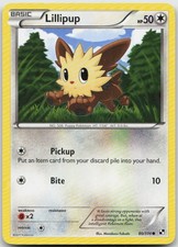 Lillipup 80/114 Common Black & White Pokemon TCG MP