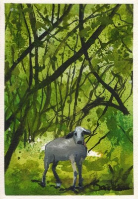 Lone Cow Tambor  : Sandra Watercolors  Costa Rica : SIGNED Limited Edition Print