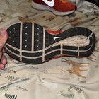 Picture 3 of 5