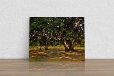 Claude Monet "Fontainebleau Forest" Canvas Print Wall Art Home Decor