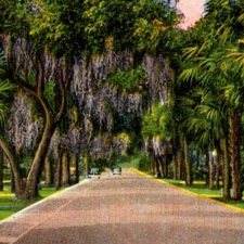 Vintage Postcard Linen Ridgewood Avenue Daytona Beach Florida FL Palm Trees