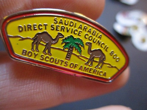 Lot of 5 boy scout BSA hat pins #204 - Picture 5 of 6