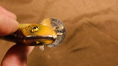 Leurre De Pêche Antique Heddon Dowagiac Tadpolly – Bois – Yeux En Verre Rouge – Vintage