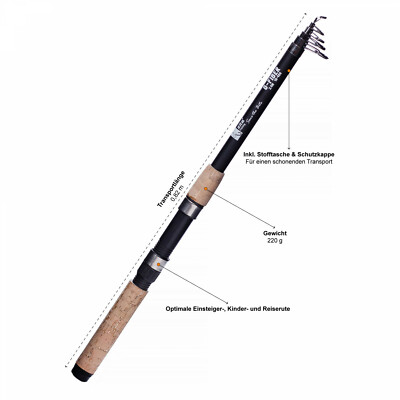 Angelrute Teleskop Rute Teleskoprute Allround Aal Karpfen 2,70m Zite  Fishing | eBay.de
