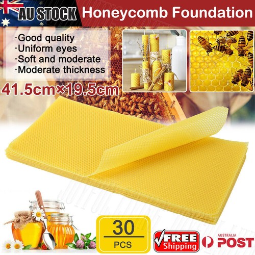 30Pcs Foundation Bee Hive Wax Frames Waxing Beekeeping