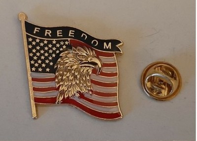 Freedom Eagle with American Flag lapel pin